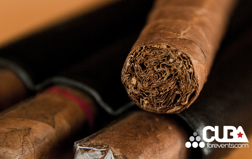 HABANOS2019 | CubaForEvents
